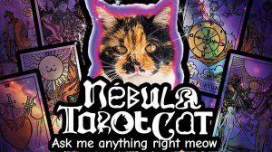 N&eacute;bula Tarot Cat Online Game